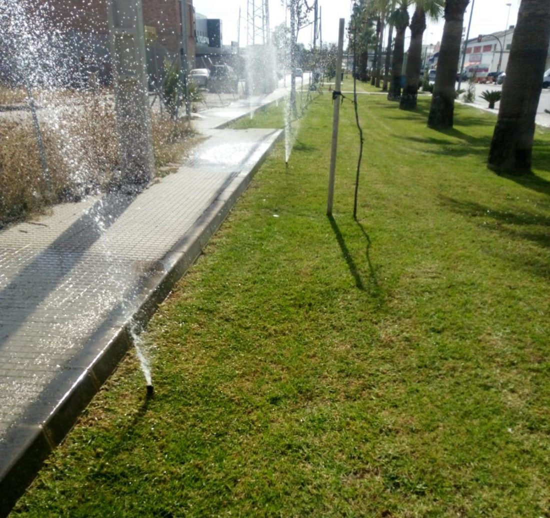 Nuevo acto vandálico contra sistemas de riego de zonas verdes en Arahal