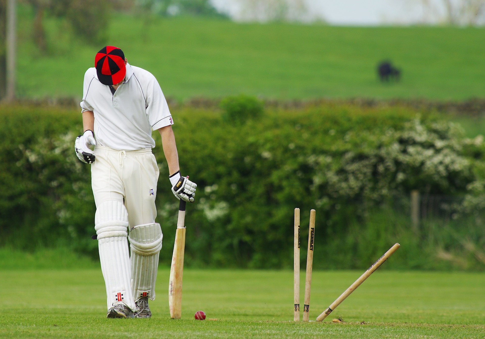 Historia del Cricket 